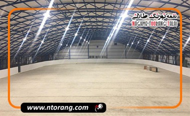 پرورش همزمان چند نژاد مرغ در یک سالن؛ چالش‌ها، نکات مدیریتی و راهکارهای عملی